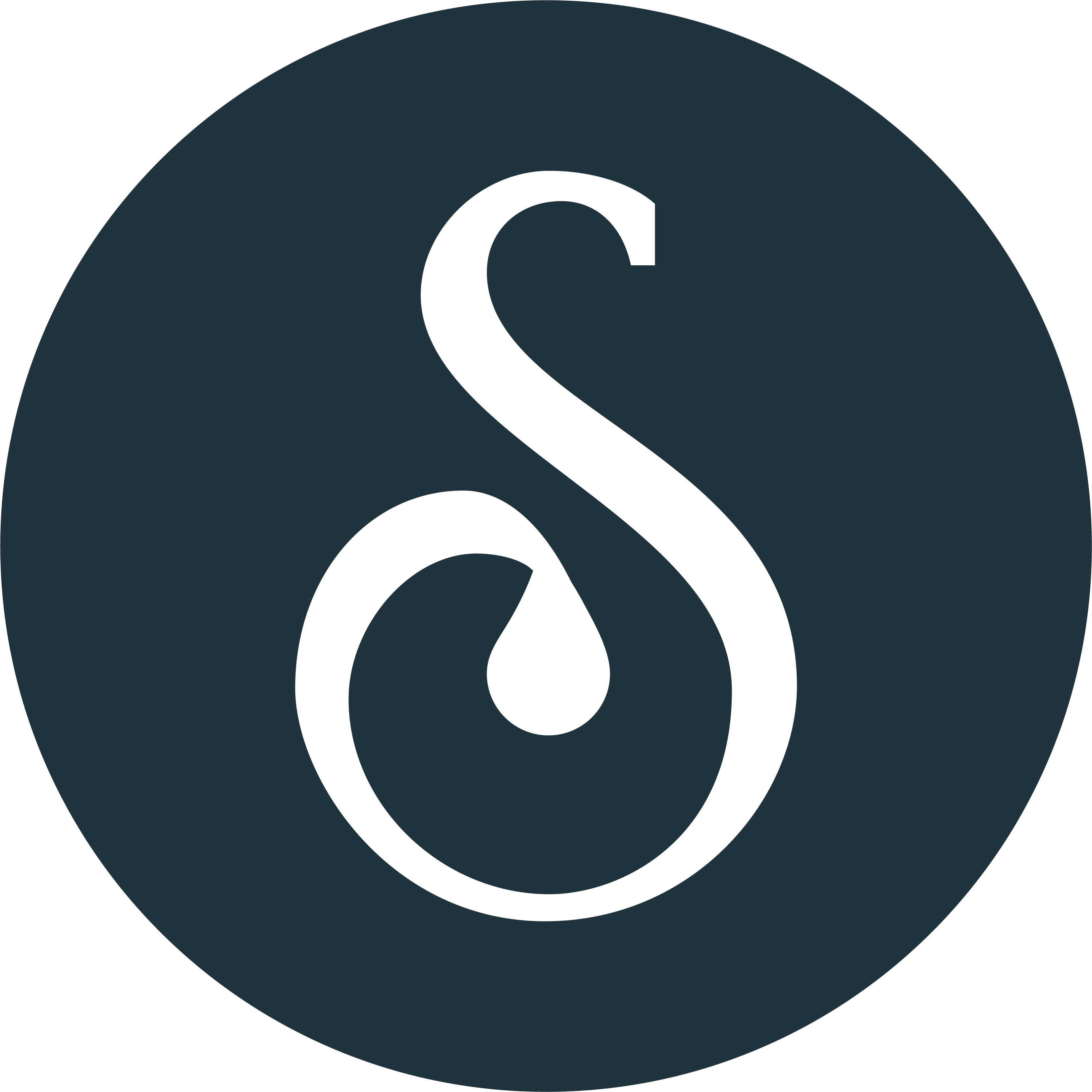 The image is a stylized "S" symbol, enclosed within an oval shape.